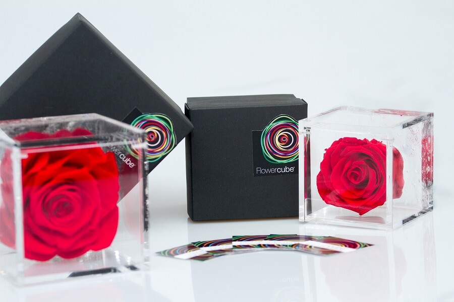 FLOWERCUBE rose vere stabilizzate-ACQUISTA ONLINE Image