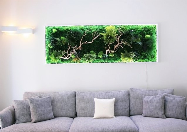 QUADRO FORESTA OMBRA LUCE Image